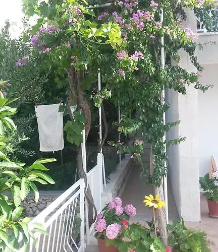 Dragan * تروغير